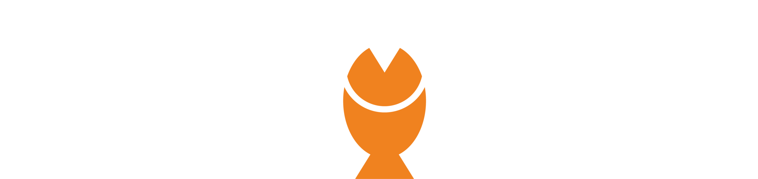 Atelier Goudvisser